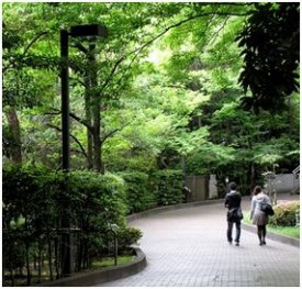 Waseda University